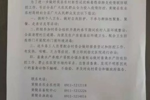重庆市疫情防控红头文件解读，政策要点与市民应对指南