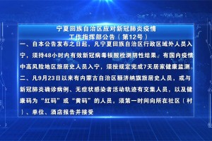 宁夏回族自治区最新防疫政策解读，全面优化措施助力复工复产