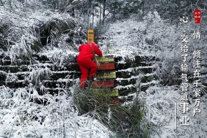 四川省疫情防控先进集体，守护生命线的无名英雄