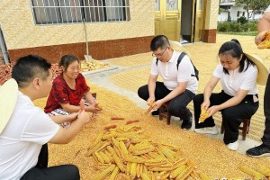 陕西省2020年财政收入分析，数据解读与经济影响