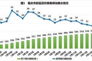重庆疫情输入防控，挑战、策略与未来展望