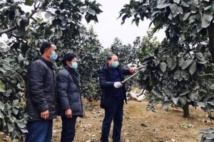 四川省疫情数据表解读，最新动态与防控策略分析