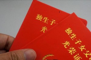 山东省退休人员独生子女补贴政策详解，申领条件、标准及流程