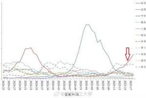 沈阳病毒死亡人数真相，官方数据与民间质疑的深度解析