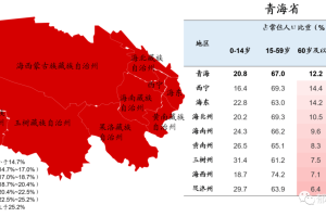 疫情重庆封城期间，青海省居民能否出省？最新政策解析