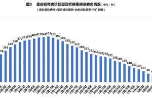 重庆与北京防疫政策对比，两大直辖市的防控策略与成效分析