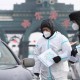 哈尔滨疫情最新动态，交通是否全部停运？香港防疫措施对比