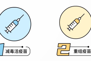 长春生物疫苗是什么品牌？全面解析长春生物及其疫苗产品
