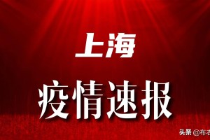 上海疫情防控通报，最新进展与市民应对指南