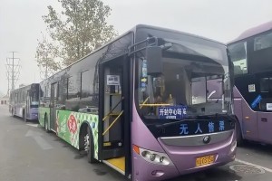 郑州疫情通告查询，最新动态与便捷查询方法全指南