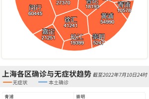 上海近日疫情报告，最新动态与防控措施分析