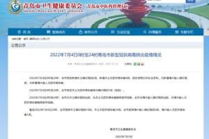 上海疫情公告网，权威信息发布与市民健康守护平台