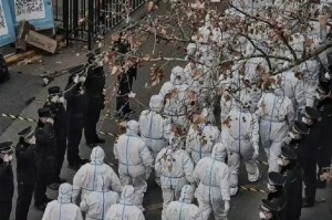 石家庄疫情中的生命之痛，反思与前行