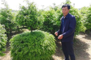 太原疫情最新动态与甘肃省防控措施全面解析