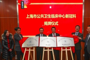 上海新增新冠疫情，最新动态与防控措施解析