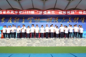 陕西省丹凤中学官方网站，数字化校园建设的典范