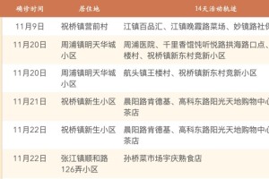 上海疫情再度反弹，防控措施升级与市民应对指南
