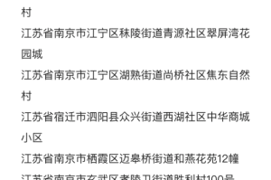 上海疫情今日最新动态，新增病例情况及防控措施解析