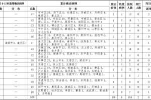 石家庄疫情死亡病例统计与防控措施全面解析