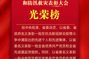 四川省疫情省级表彰大会，致敬抗疫英雄，弘扬伟大精神