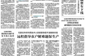 重庆疫情管控现状，精准防控与民生保障的双重挑战