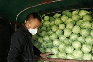 贵阳超市抢购潮，疫情下的恐慌与理性思考