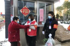 石家庄疫情死亡人数统计与防控措施深度解析