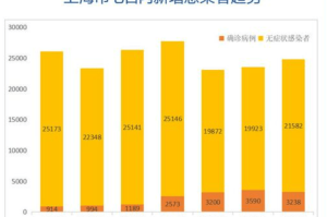 上海新冠疫情最新报告，防控措施、数据解读与未来展望