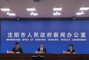 沈阳近期新增病例，疫情动态与防控措施全面解析
