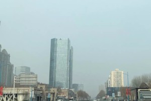 突发郑州即将封城？官方回应与市民应对指南