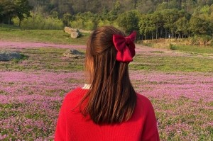 疫情下的湖南宁乡，坚韧与希望的故事
