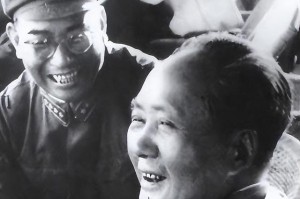 上海与南京疫情对比，防控措施与城市韧性分析
