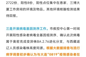 沈阳疫情通报查询，最新动态与权威渠道指南