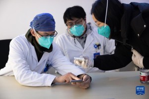 上海昨日新增疫情数据解读，最新动态与防控措施分析