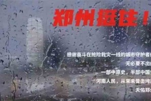 郑州疫情封锁令下的城市脉动，挑战、应对与人性光辉