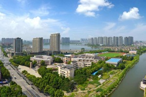 上海疫情外溢效应，杭州如何应对与防控的深度解析