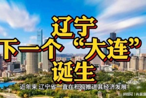 辽宁沈阳，疫情下的坚韧与重生