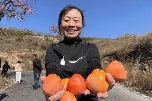 沈阳封城没？2023年最新政策与市民生活现状解析
