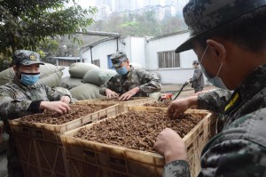 重庆疫情防控发布会直播，最新政策解读与市民应对指南