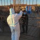 内蒙古自治区防疫指挥中心，筑牢北疆健康屏障的坚实堡垒