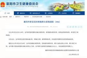 重庆疫情封闭下的城市脉搏，挑战、坚韧与希望