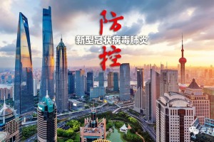 上海疫情输入，防控挑战与城市韧性的双重考验