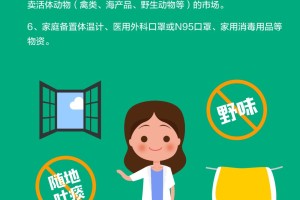 上海疫情防控网站使用指南，一站式解决您的防疫需求