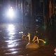 上海突发暴雨引发城市内涝，交通瘫痪引市民热议