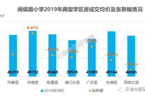 合肥与上海疫情死亡人数对比分析，数据背后的真相与启示