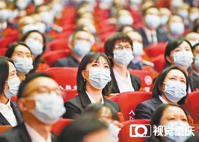 重庆疫情直播，数字时代下的城市抗疫新范式