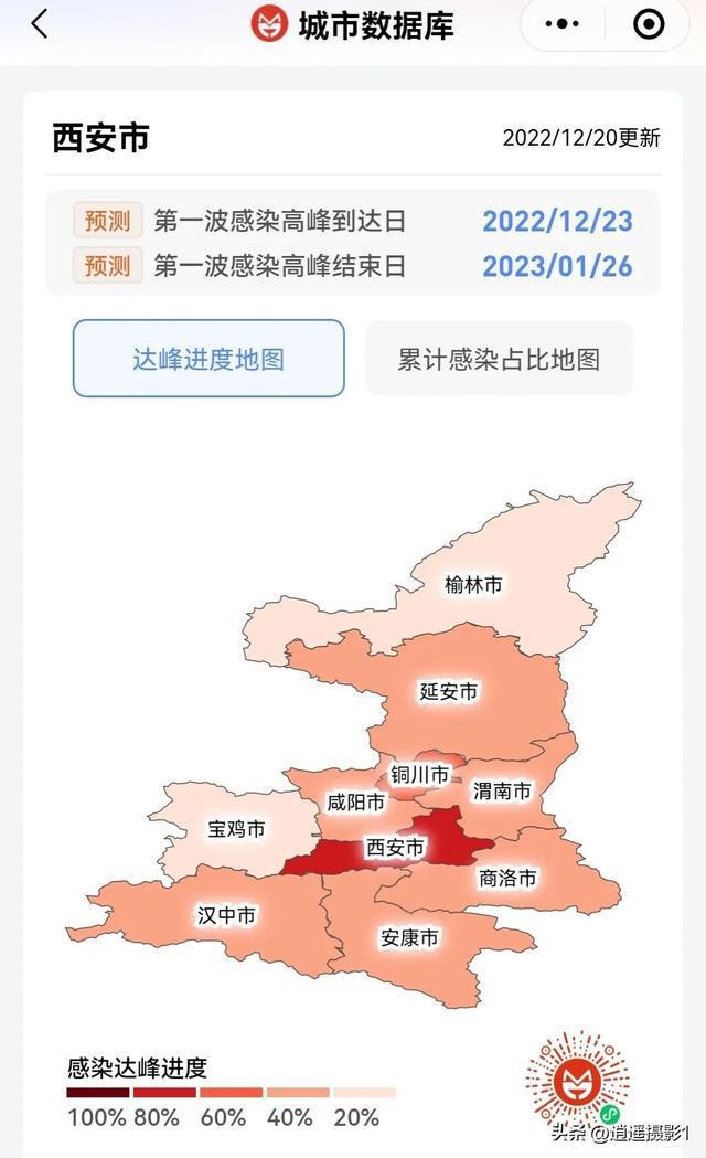 重庆疫情最新动态，防控措施、数据解读与未来展望