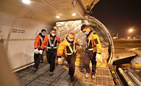 重庆疫情报告，最新动态、防控措施与未来展望