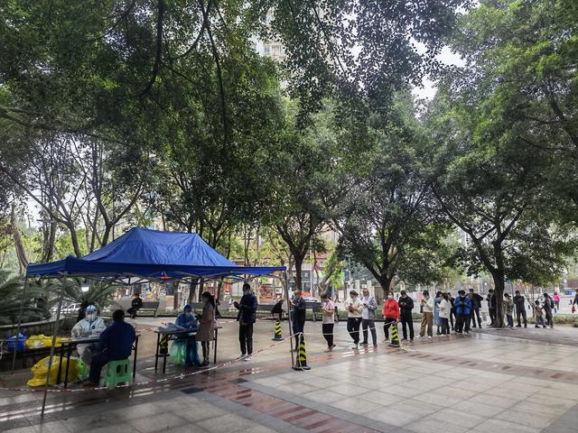 重庆市疫情公告与广州最新消息，双城防疫动态深度解析