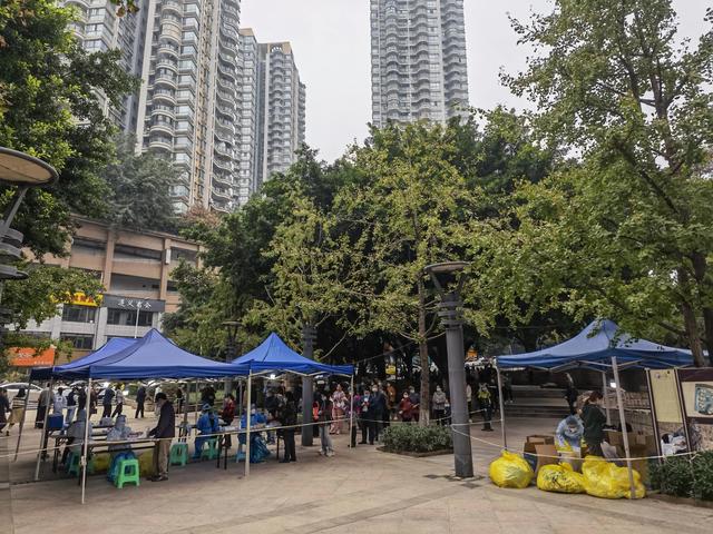 重庆市疫情公告与广州最新消息，双城防疫动态深度解析